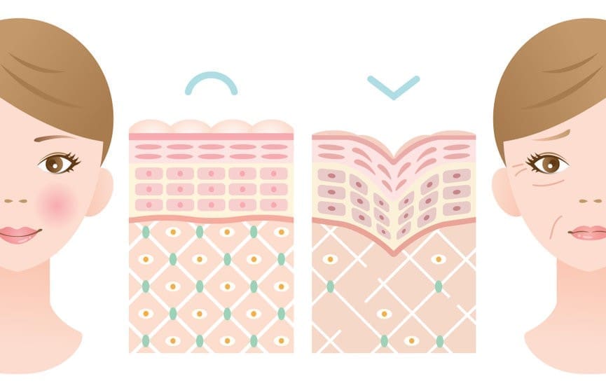 舒顏萃膠原蛋白針