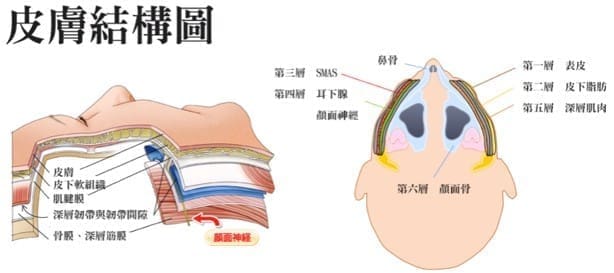 3~6個月會有皮膚緊實拉提的輔助效果