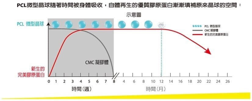 PCL微型晶球隨著時間被身體吸收,自體再生的優質膠原蛋白漸漸填補原來晶球的空間