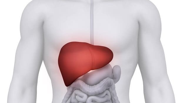 導致脂肪肝的原因