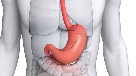 Painless Gastroscopy